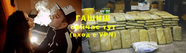 сатива Аркадак