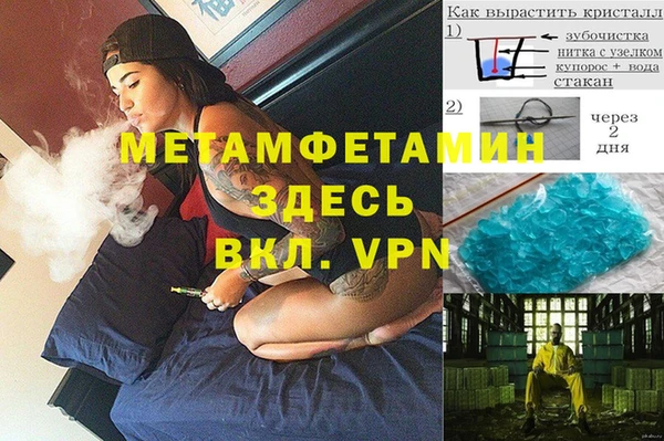 сатива Аркадак