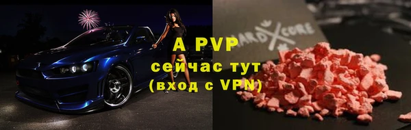 сатива Аркадак