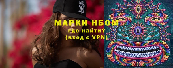 сатива Аркадак