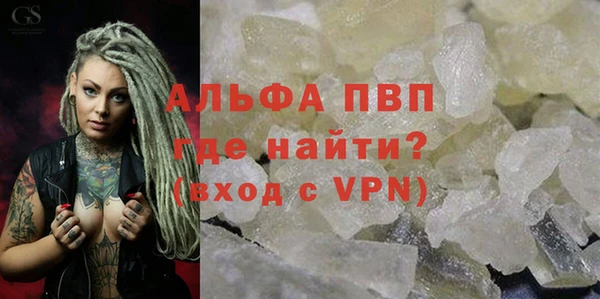 сатива Аркадак