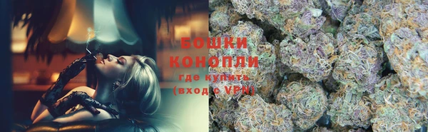 сатива Аркадак